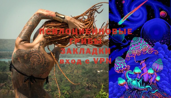 a pvp Алексеевка
