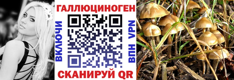 Галлюциногенные грибы MAGIC MUSHROOMS  закладка  Вилючинск 
